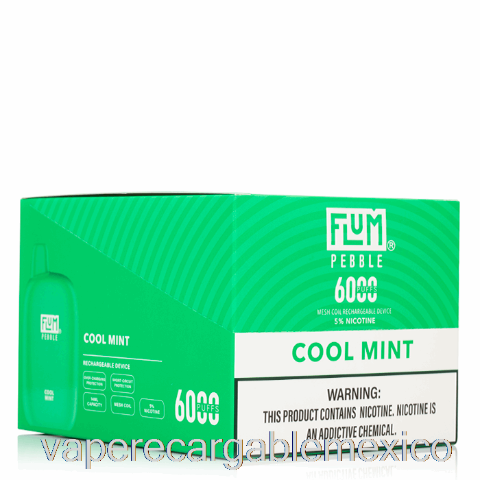 Vape Recargable [paquete De 10] Flum Pebble 6000 Desechable